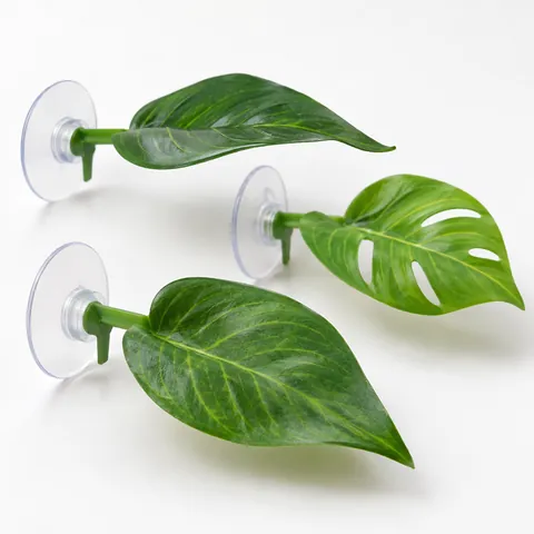 Betta leaf hammocks